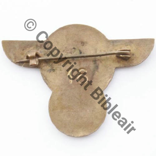 23.2  1943.45 A0937NH SQUADRON 346 GUYENNE SM Eping bascule bijoutier Dos lisse No16 SGC MECHALY Emile Collect ZERDOUNE 